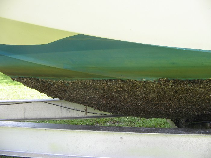 Bottom Paint Pontoon Boat & Deck Boat Forum